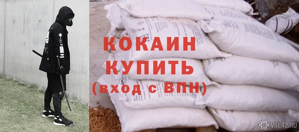 прущие грибы Гусь-Хрустальный