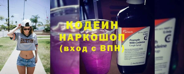 прущие грибы Гусь-Хрустальный