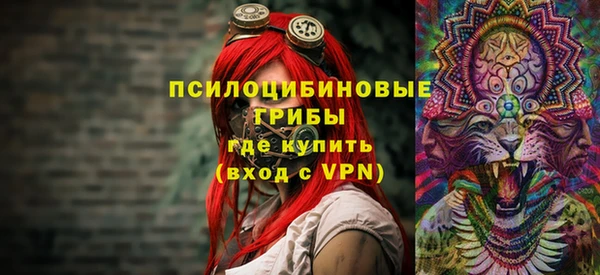 прущие грибы Гусь-Хрустальный