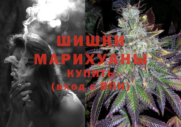 прущие грибы Гусь-Хрустальный