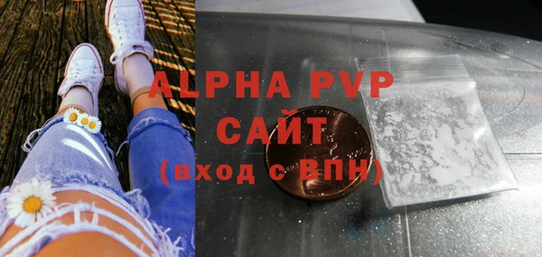 прущие грибы Гусь-Хрустальный