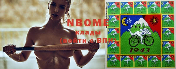 прущие грибы Гусь-Хрустальный