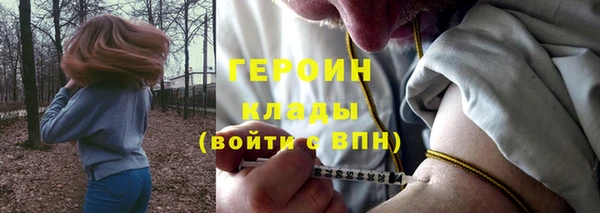 прущие грибы Гусь-Хрустальный