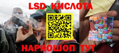 прущие грибы Ирбит