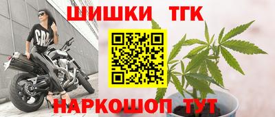 прущие грибы Ирбит