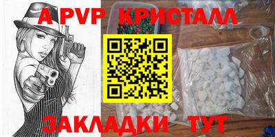 прущие грибы Ирбит