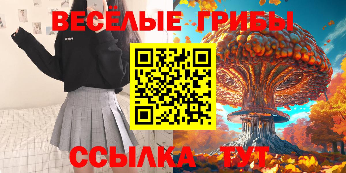 Кинель  Псилоцибиновые грибы Psilocybe  Вход с VPN 