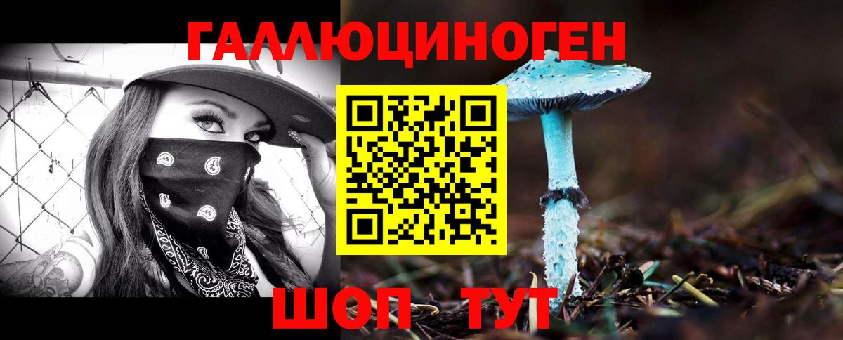 Галлюциногенные грибы GOLDEN TEACHER Кинель